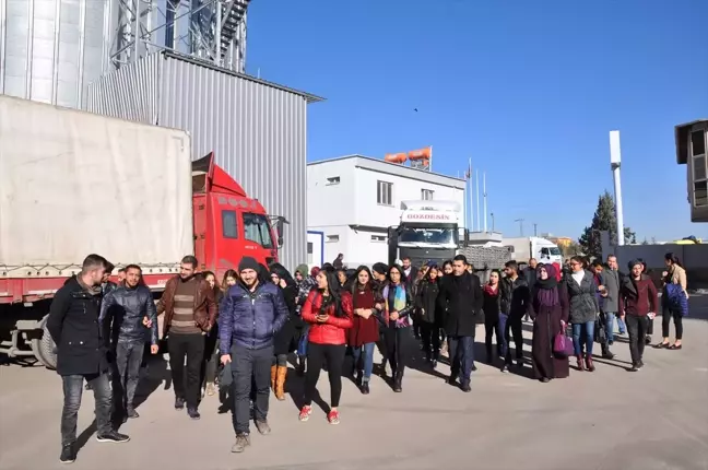 Öğrenciler Ayçiceği Yağı Fabrikasını Gezdi
