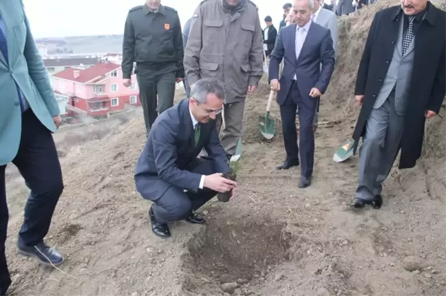 Tosya'da Ormancılık Haftası Fidan Dikilerek Kutlandı