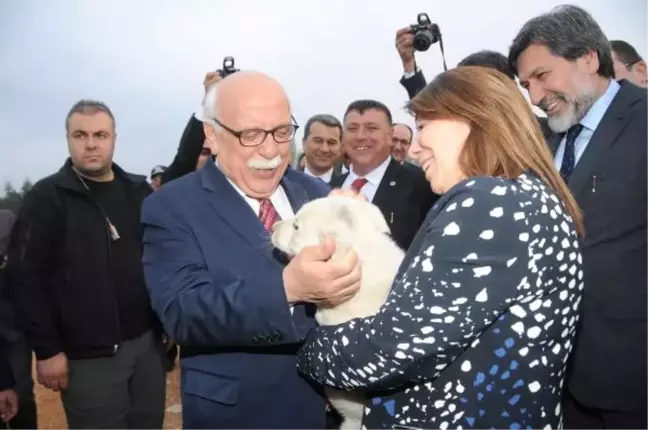 Bakan Avcı: Mavi Bayrak Çok Daha Artacak (3)
