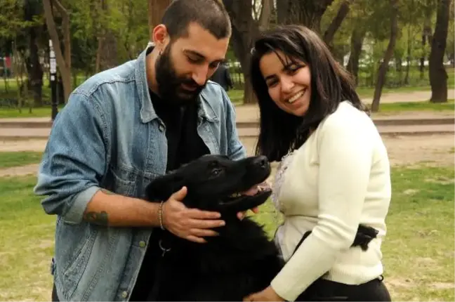 Üniversiteli Çift 'Karre' Adlı Köpeğin Göz Ameliyatı İçin Kampanya Başlattı