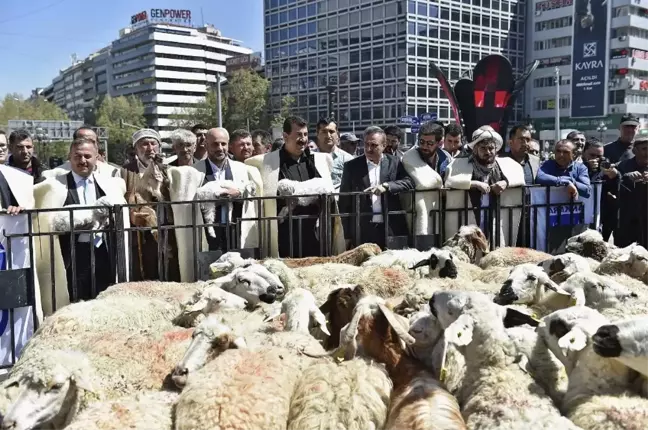 Başkentin Ortasına Köy Kurulacak