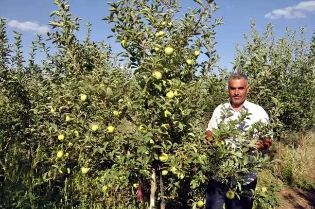 Adana'dan Köyüne Meyvecilik Kültürünü Getirdi