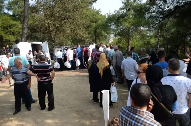 Osmangazi Ailesi Piknikte Buluştu