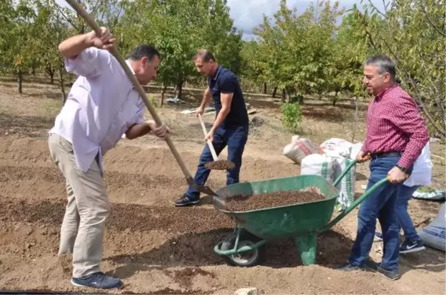 Altın Bitki 'Safran'da Üretim ve Kalite Artırmak İçin Proje