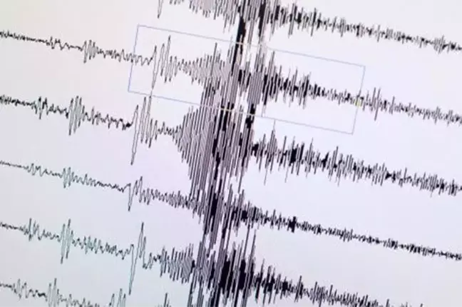 Japonya 6.3'le Sallandı