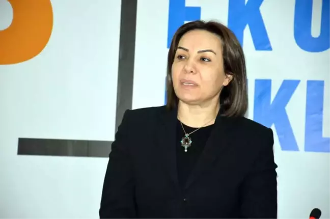 AK Parti'li Salman: