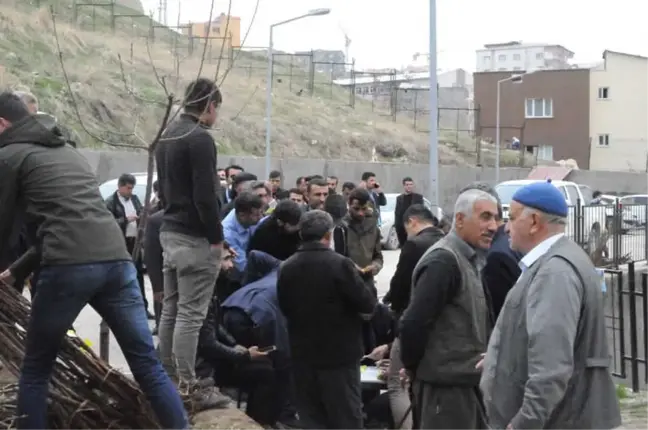 Şırnak'ta Çiftçilere Meyve Fidanı Dağıtımı Yapıldı