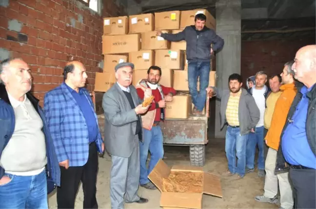 Tütün Üreticisi 'Destek' İstiyor