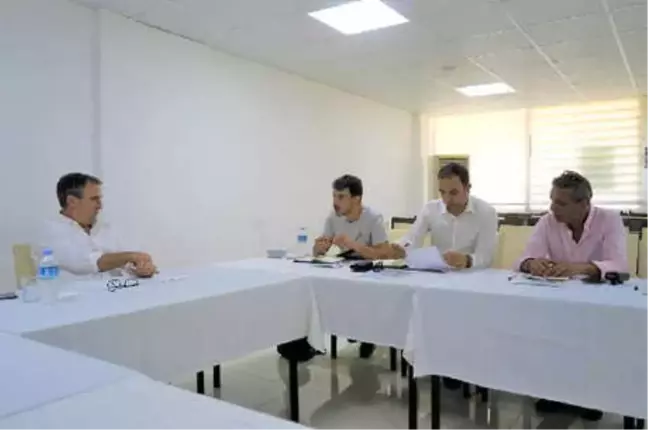 Türkiye'de İlk Sokak Hayvanları Festivali Ayvalık'ta Düzenlenecek