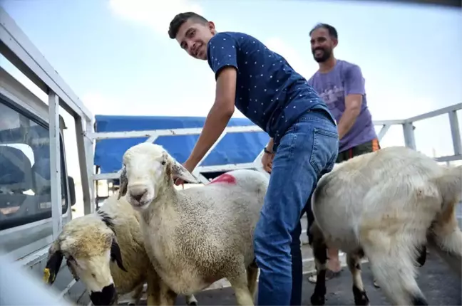 Kurban Bayramı Kutlanıyor
