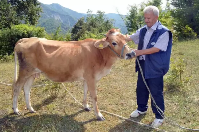 Drone'dan Korkan ve Tepkileriyle Fenomen Olan Hasan Amca Konuştu Açıklaması