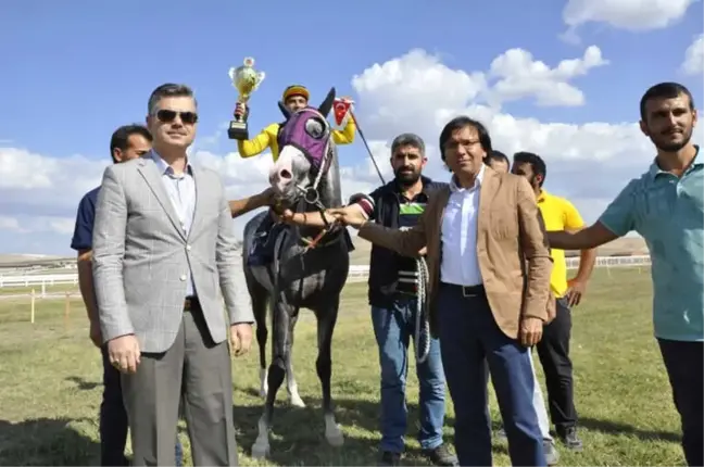 Safkan Atlar Mahmudiye'de Piste Çıktı