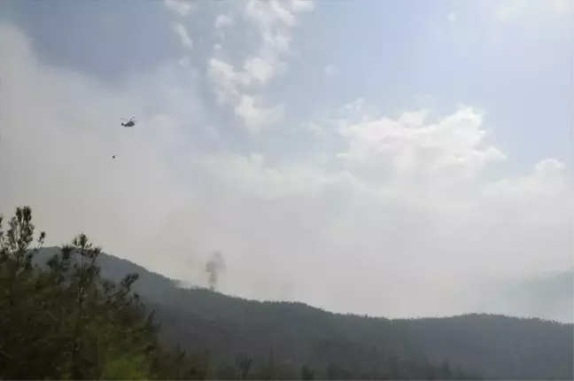 Hatay'daki Orman Yangını