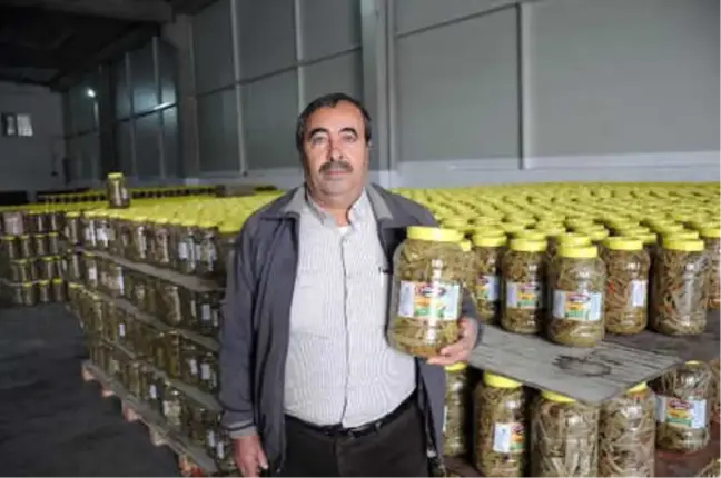 Sivas'tan Almanya'ya 'Pezik' Turşusu