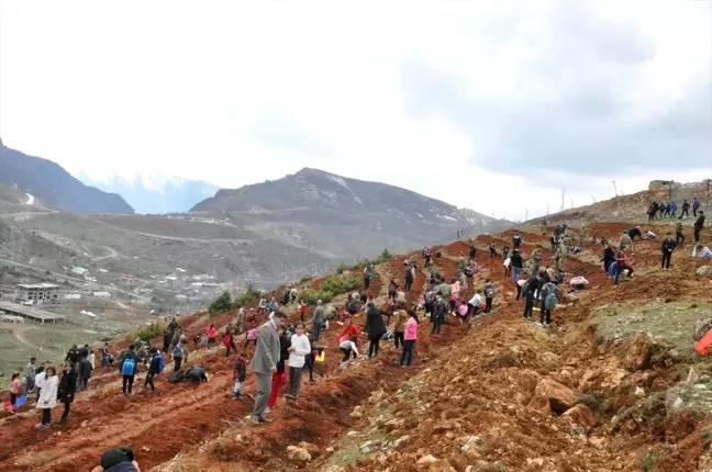 Çukurca'da Güvenlik Güçleriyle Vatandaşlar Fidan Dikti