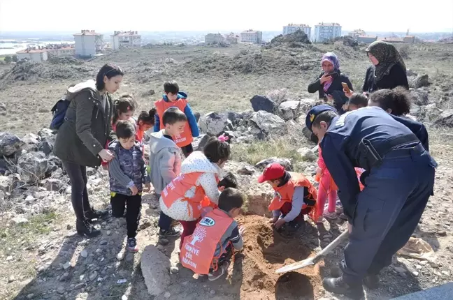 Gülşehir'de Anaokulu Çocukları Fidan Dikti