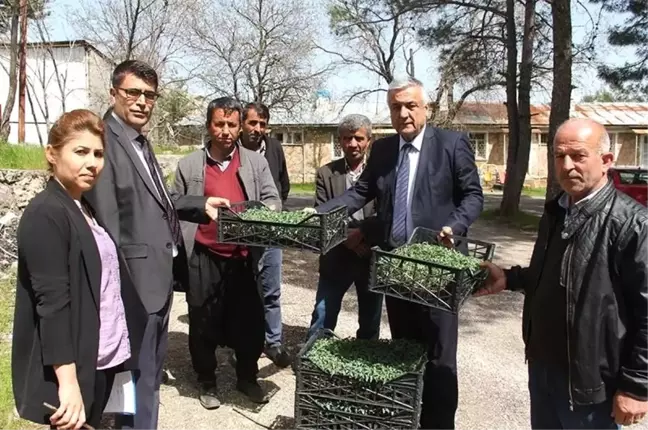 Tut'da Domates Fidesi ve Hıyar Tohumu Dağıtıldı