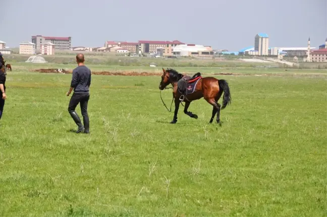 Kars'ta, at yarışları yapıldı