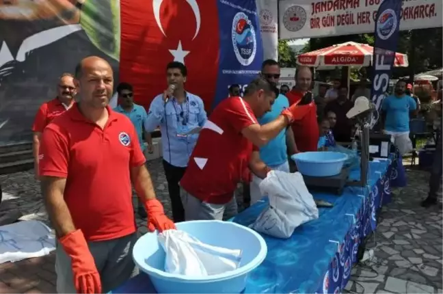 Zıpkınla Balık Avı Türkiye Şampiyonası, Amasra'da başladı (2)