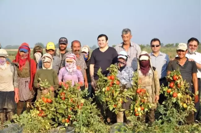 Tire Kaymakamı Tarıseven'den mevsimlik işçilere ziyaret