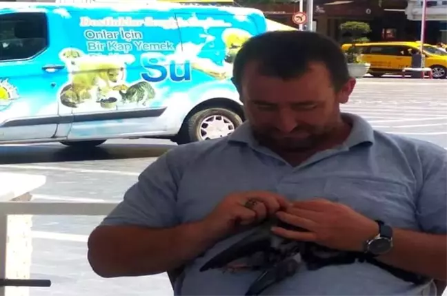 Sakız yutan kuşu vatandaşlar kurtardı