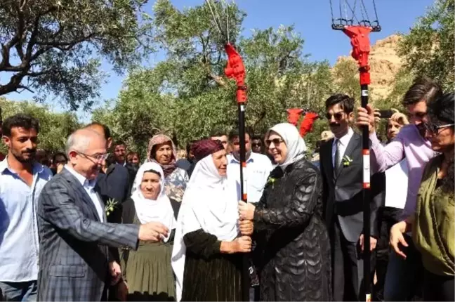 Derik'te üreticilere akülü zeytin toplama makinesi dağıldı
