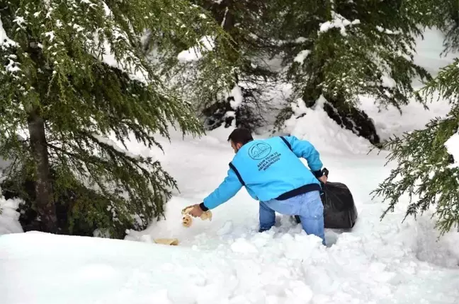 Dulkadiroğlu Belediyesi'nden yaban hayvanlarına ekmek