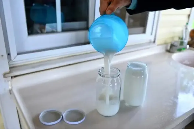 Litre fiyatı 150 lira olan eşek sütüne yoğun ilgi