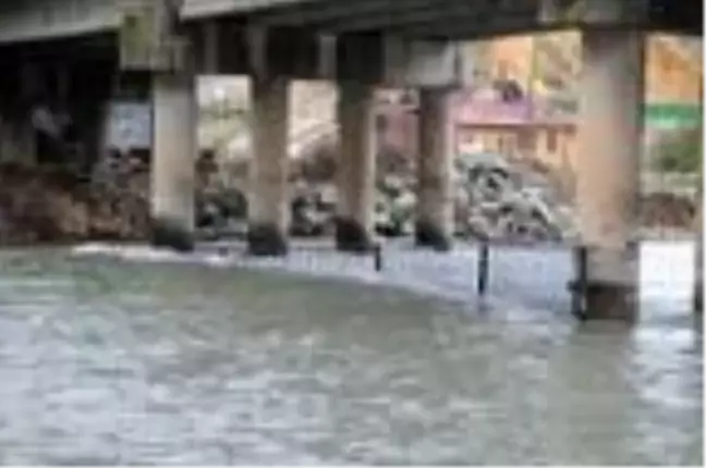 Tunceli'de kayıp uzman çavuş ve Gülistan'dan bugün de iz yok