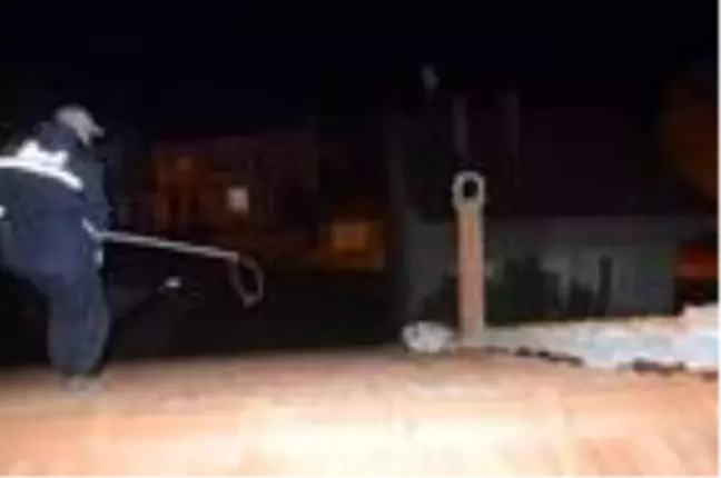 Çatıdan inemeyen köpeği itfaiyeciler kurtardı