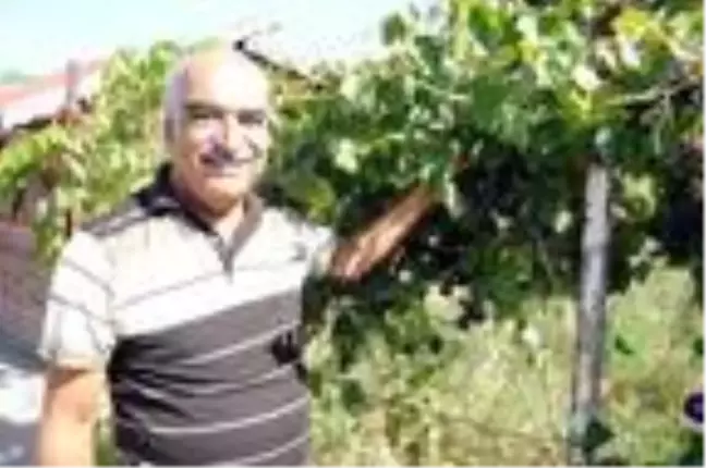 Salgın günlerini hobi bahçelerinde geçiriyorlar