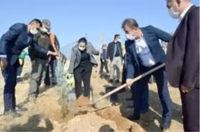 Besni'de fidan dikimi gerçekleştirildi