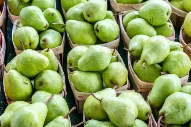 Rüyada armut görmek, armut ağacı görmek ne demek? Rüyada dalında armut yemek ne manaya gelir? Rüyada çürük armut görmek ne demek?