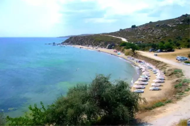 Avşa'da müsilaj var mı?