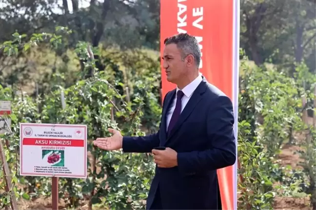 Ulupınar köyünde kırmızı meyve hasadı yapıldı