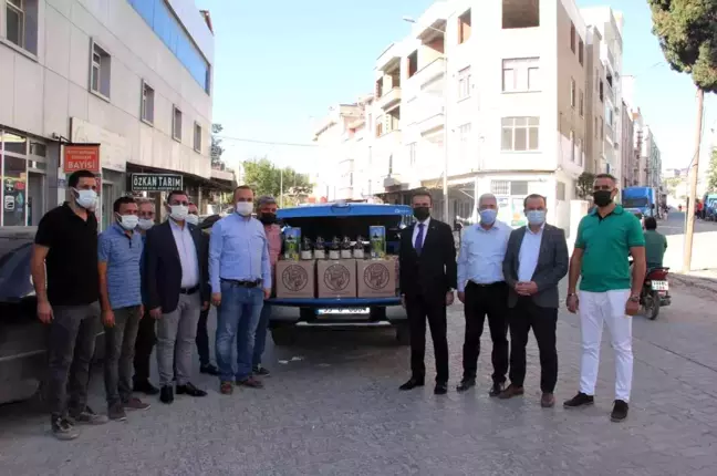 Mut zeytinyağı Başkent Market'te