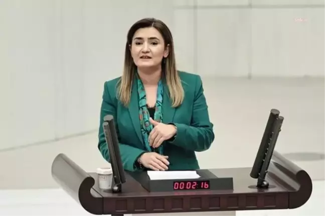 Sevda Erdan Kılıç: Müzik Yasağı Yaşam Tarzına Müdahaledir