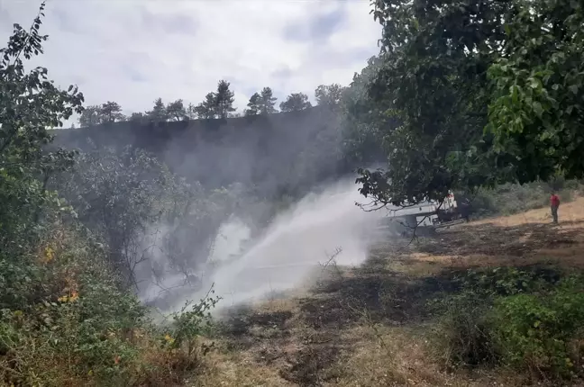 Sinop'ta ormanlık alanda çıkan yangın söndürüldü