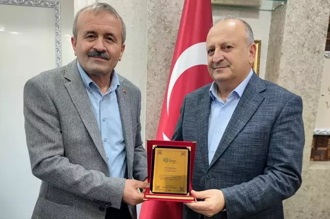 Ünye'de yeni küçük sanayi sitesi için çalışmalar devam ediyor
