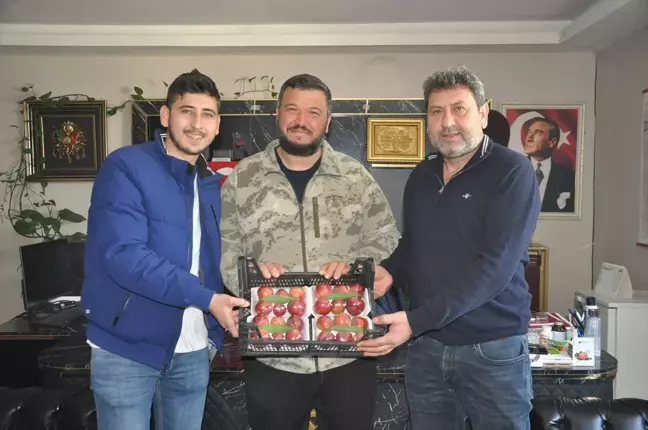 Mersin'de nektarin hasadı başladı