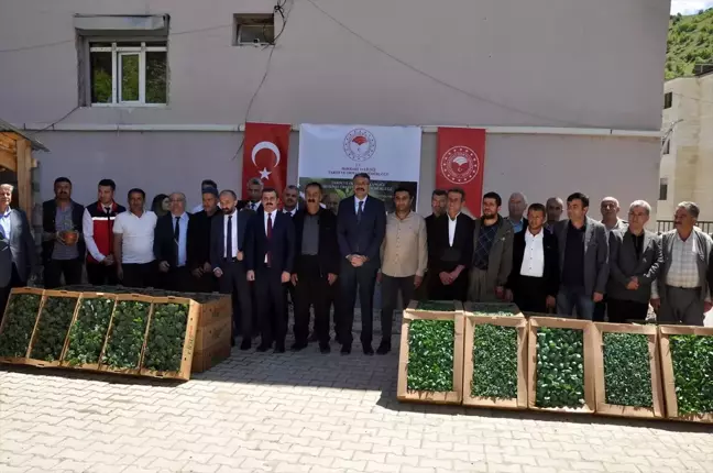 Hakkari'de çiftçilere yüzde 75 hibeyle 29 bin fide dağıtıldı