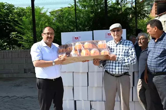 Denizli'de Ayvada Kalıntı Eylem Planı Uygulaması Başladı