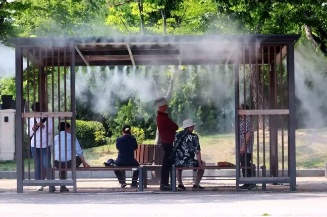 Güney Kore'de Aşırı Sıcaklar Nedeniyle Ölü Sayısı 28'e Yükseldi