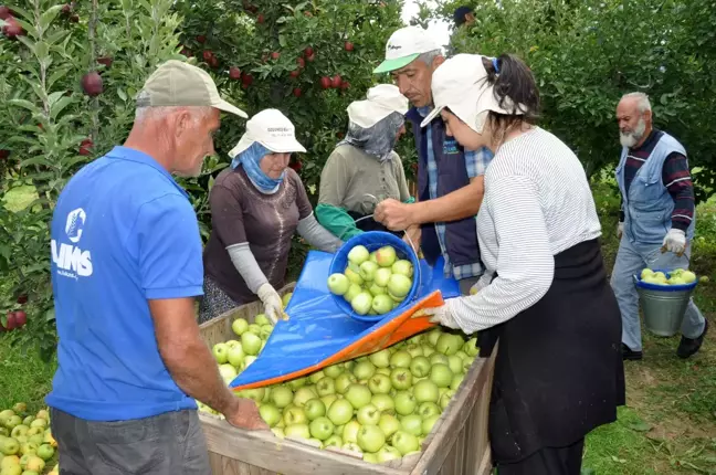 Isparta'da Elma Üreticilerine Zirai İlaç Uyarısı