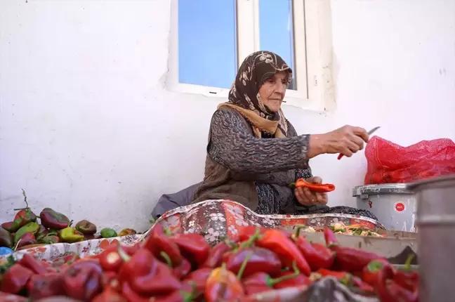 Gaziantep'te Kırsal Kadınlar Ev Ekonomisine Katkı Sağlıyor