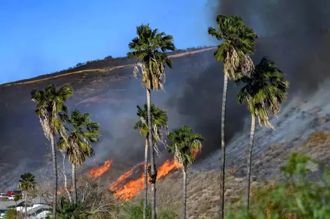 California'da Yeni Yangın Kontrol Altına Alındı, Kundaklama Şüphesiyle Gözaltılar Var