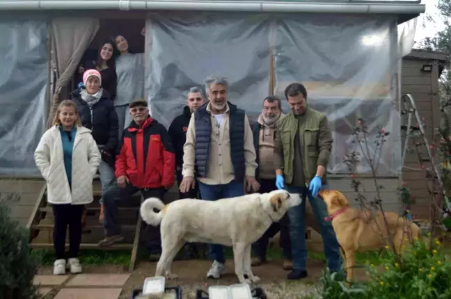 Ayvalık'ta Gönüllüler Sokak Hayvanları İçin Besleme Projesi Başlattı