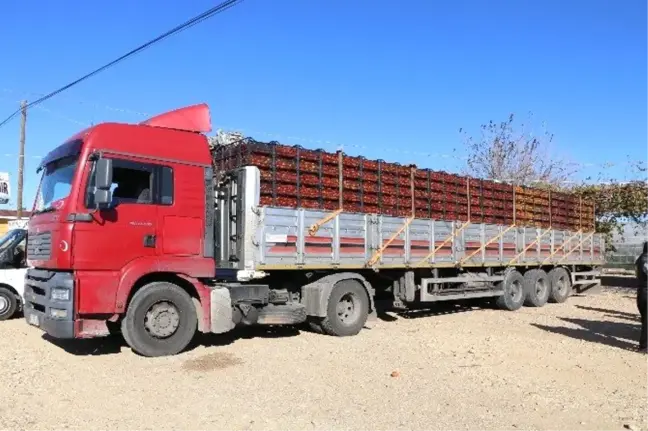 Sivas'tan Halep'e 4 Tır Yardım Gönderildi