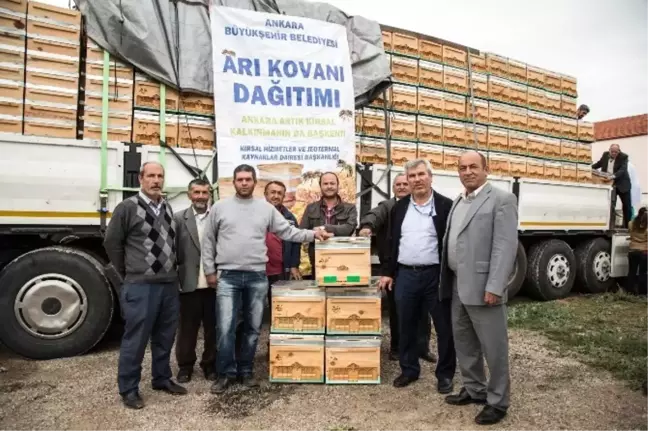 Ankara Büyükşehir Belediyesi 2017'de Üreticilere 4 Bin Arı Kovanı Dağıtacak