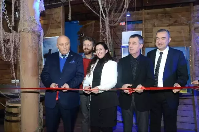 Buzul Kıta Antarktika